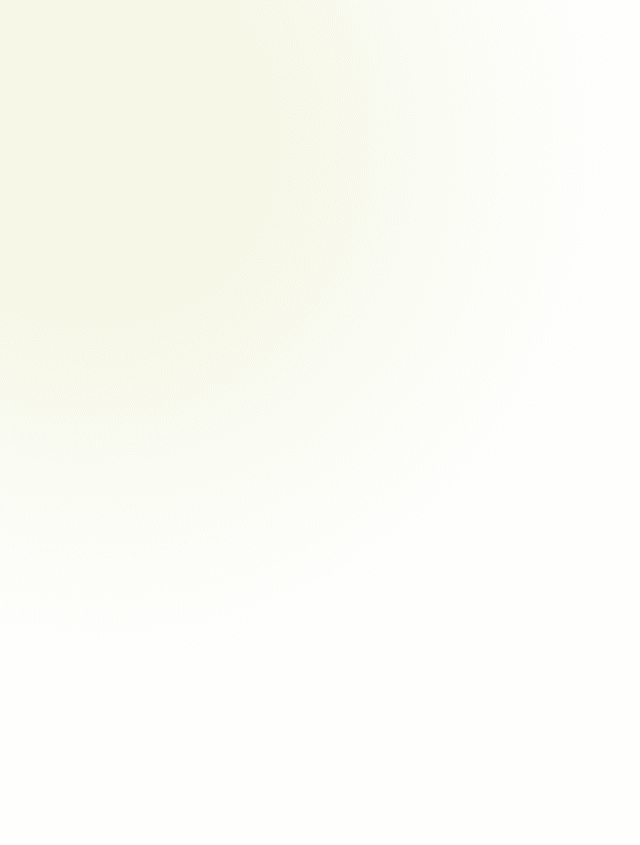 layer